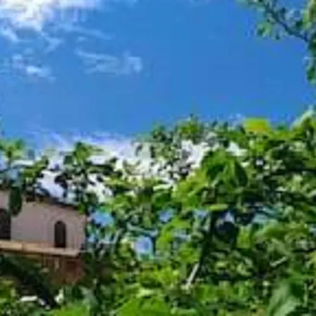 Casa vacanze Il Gelsomino